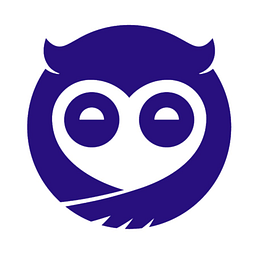 Sleepy Owl logo